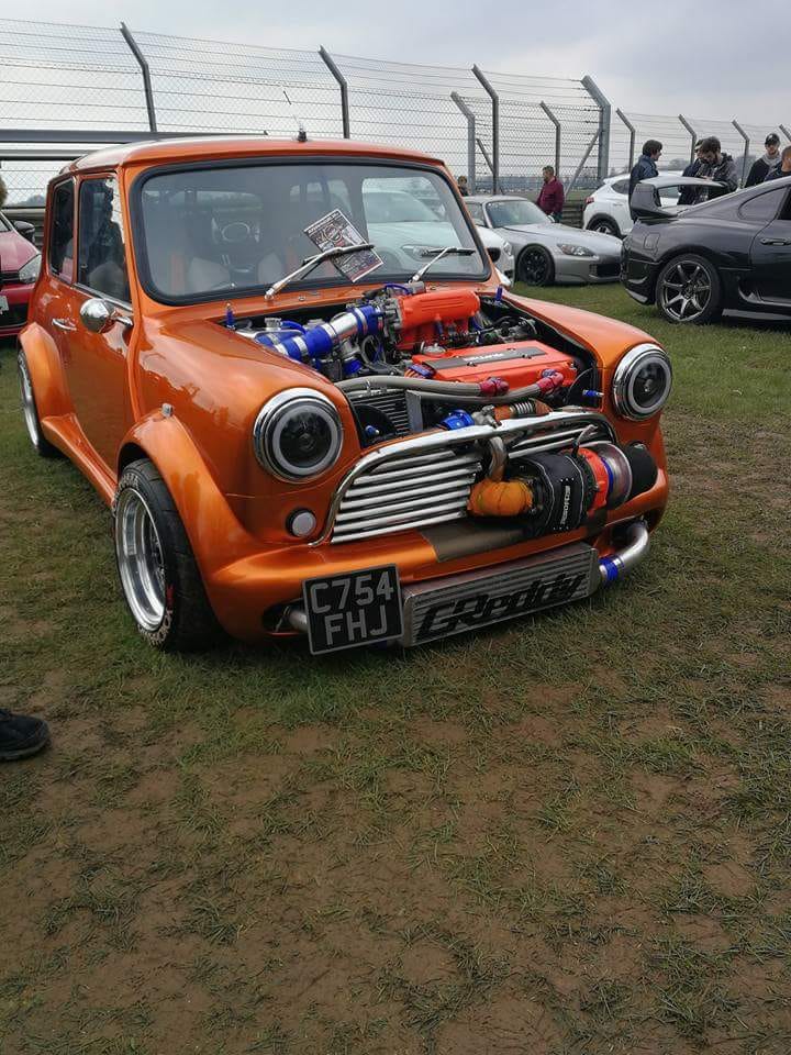 mad mini